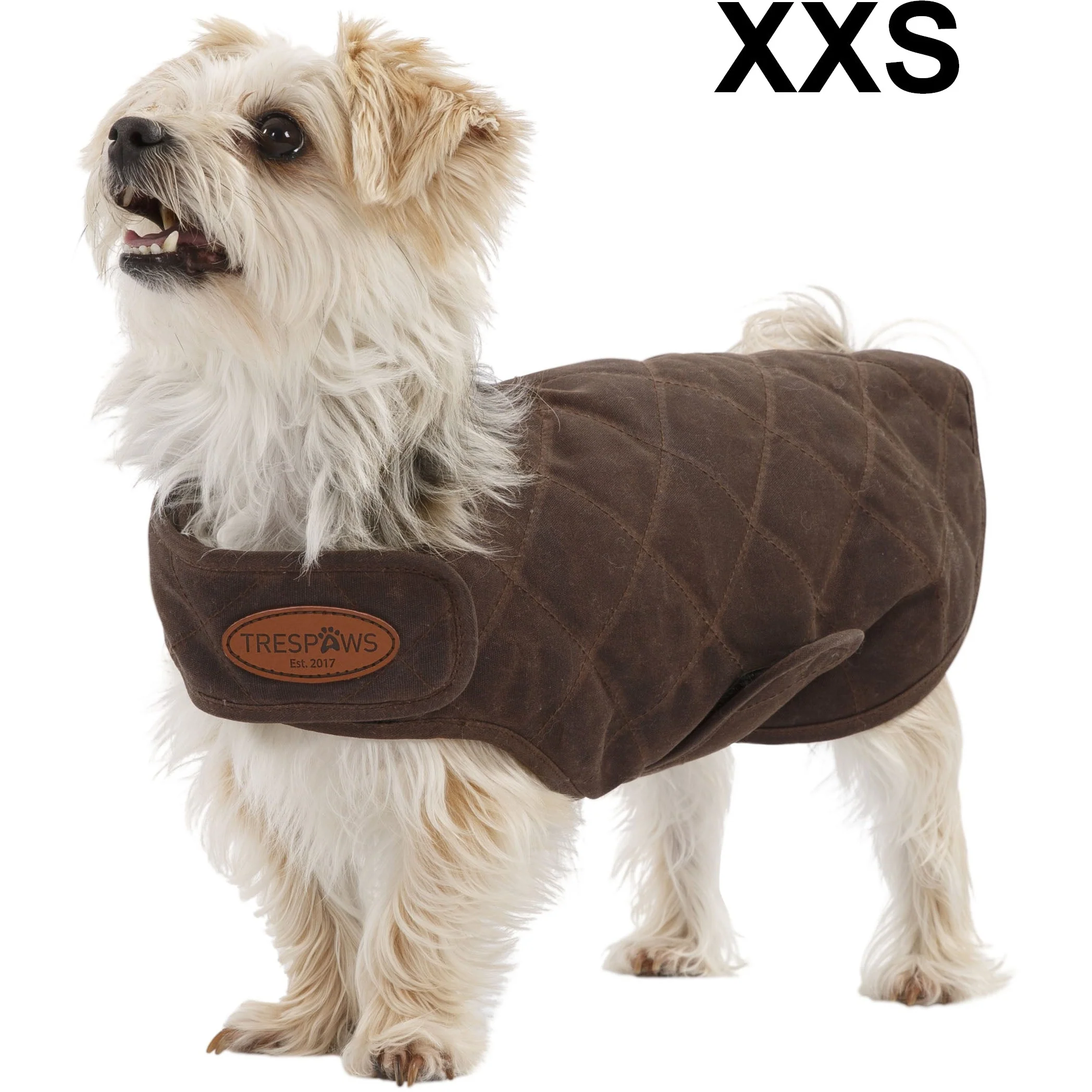 Artemis Waxed Quilted Water Resistant Dog Jacket - Image 4