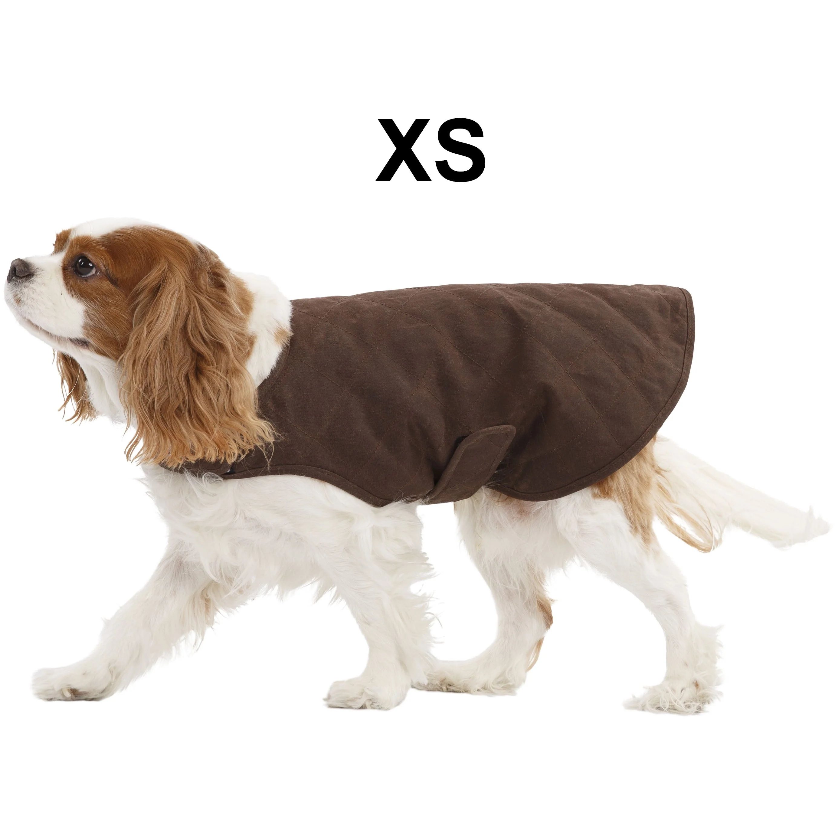 Artemis Waxed Quilted Water Resistant Dog Jacket - Image 5
