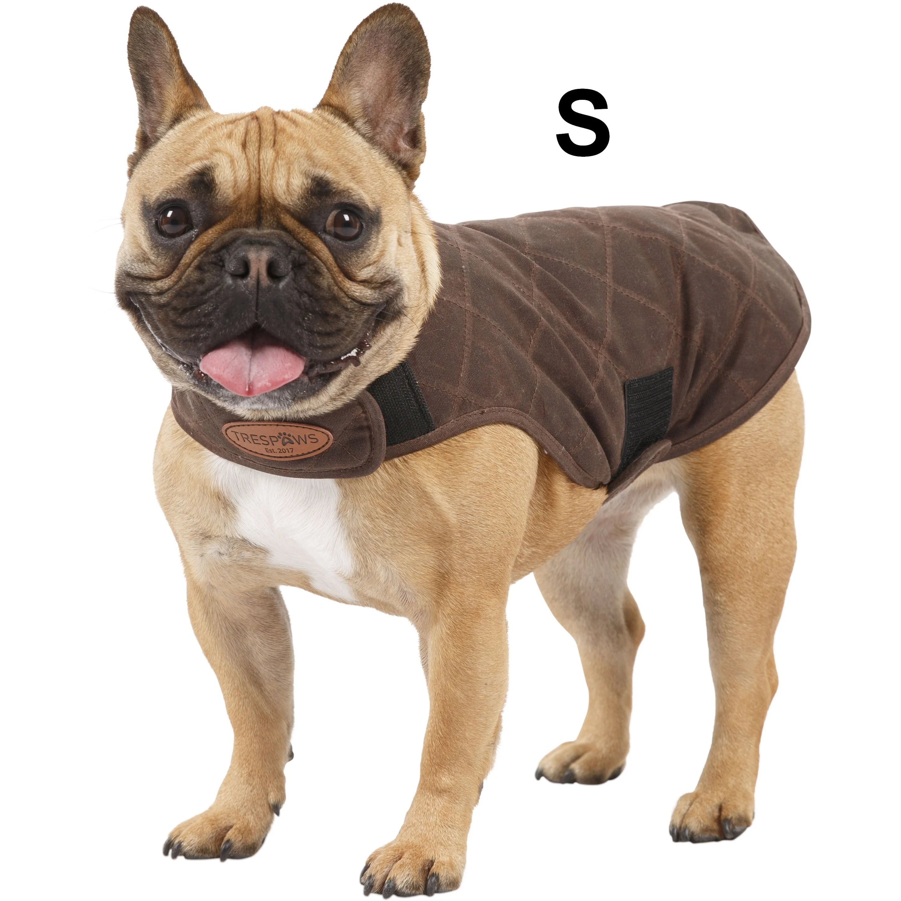 Artemis Waxed Quilted Water Resistant Dog Jacket - Image 6
