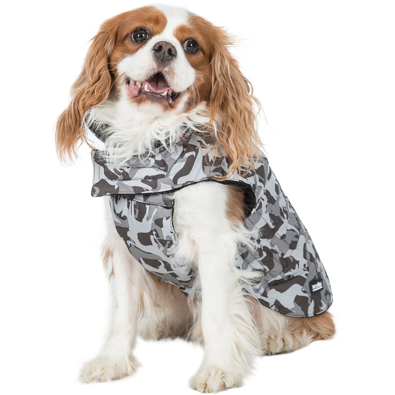 Charly Printed Waterproof Dog Coat in Camo Style - Image 12