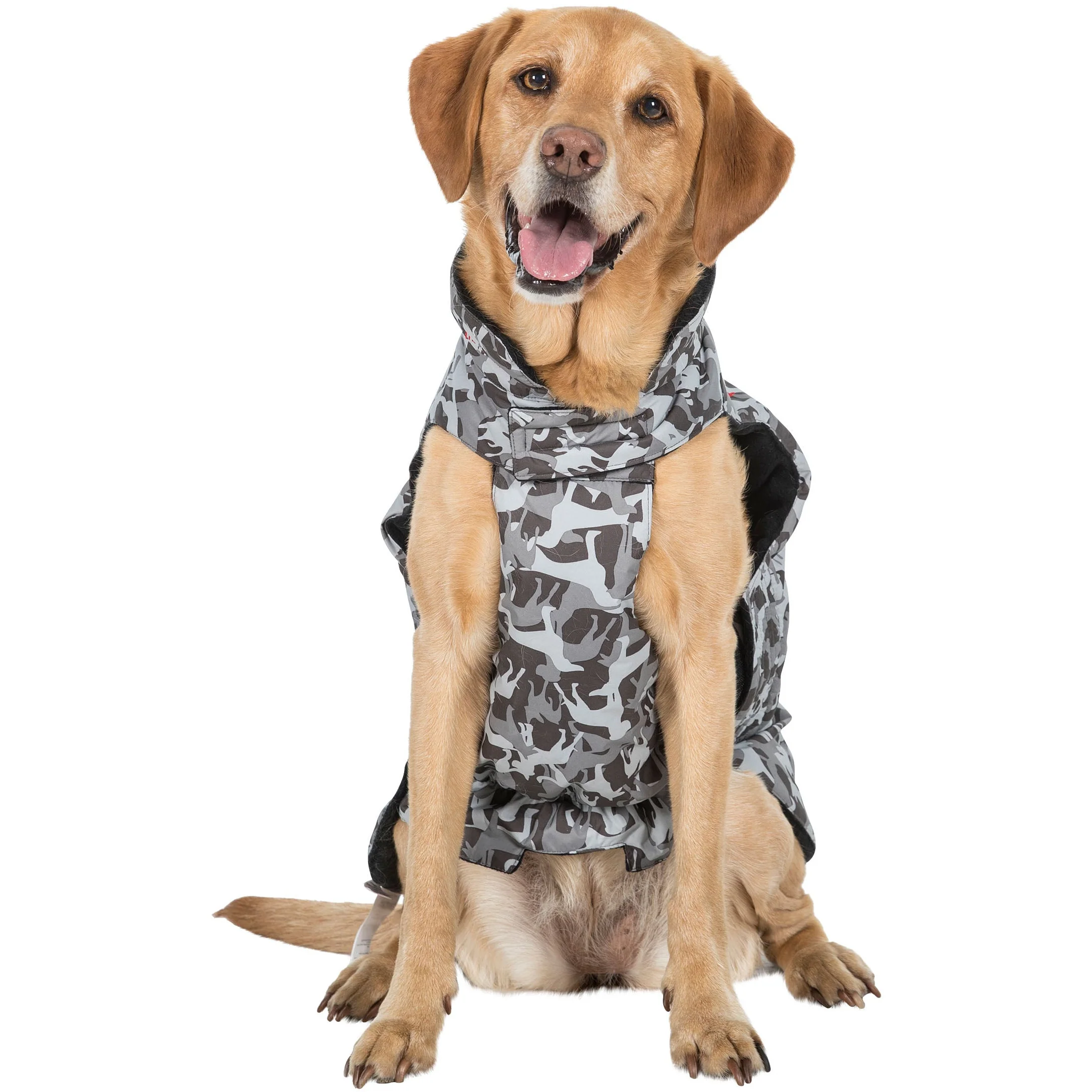 Charly Printed Waterproof Dog Coat in Camo Style - Image 14