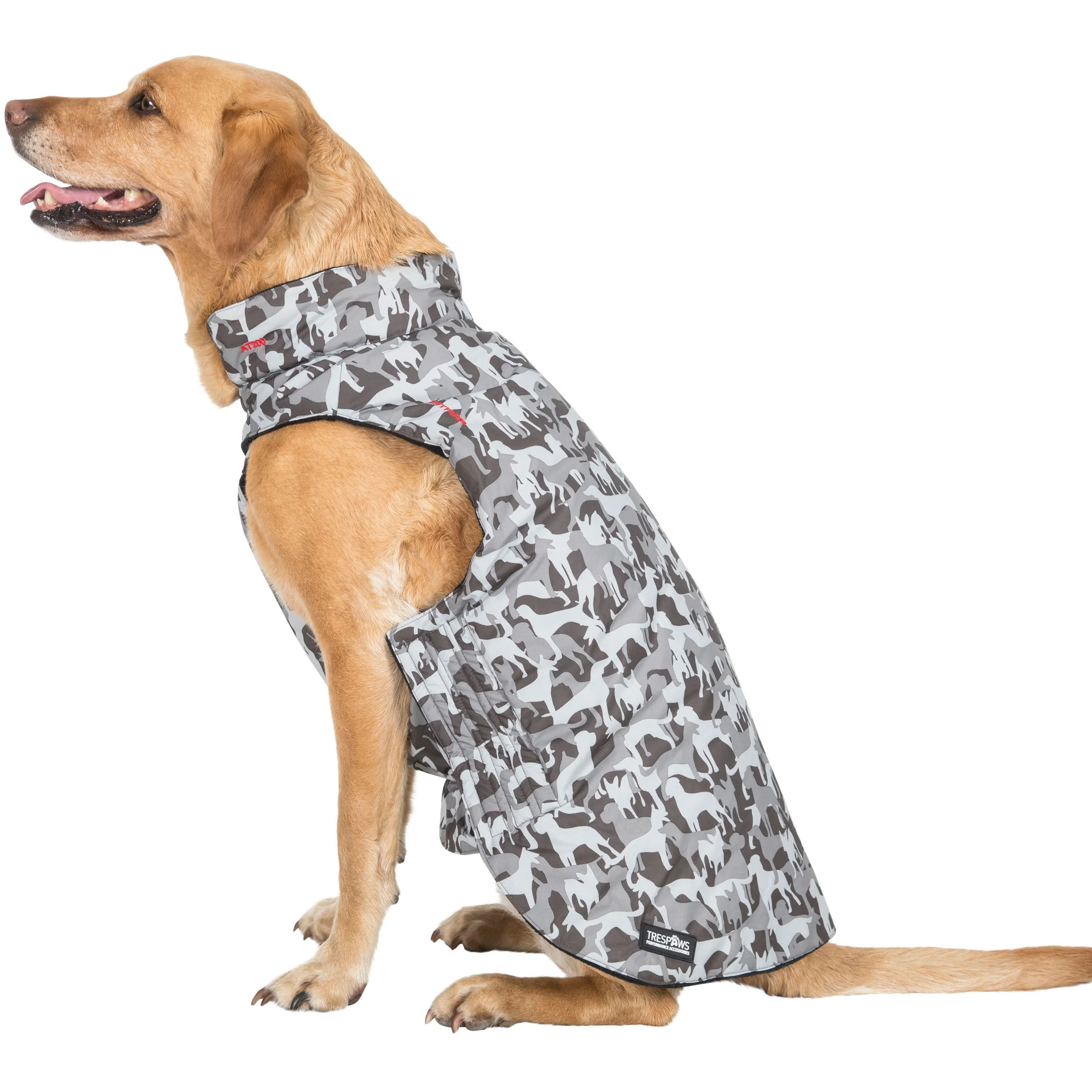 Charly Printed Waterproof Dog Coat in Camo Style - Image 15