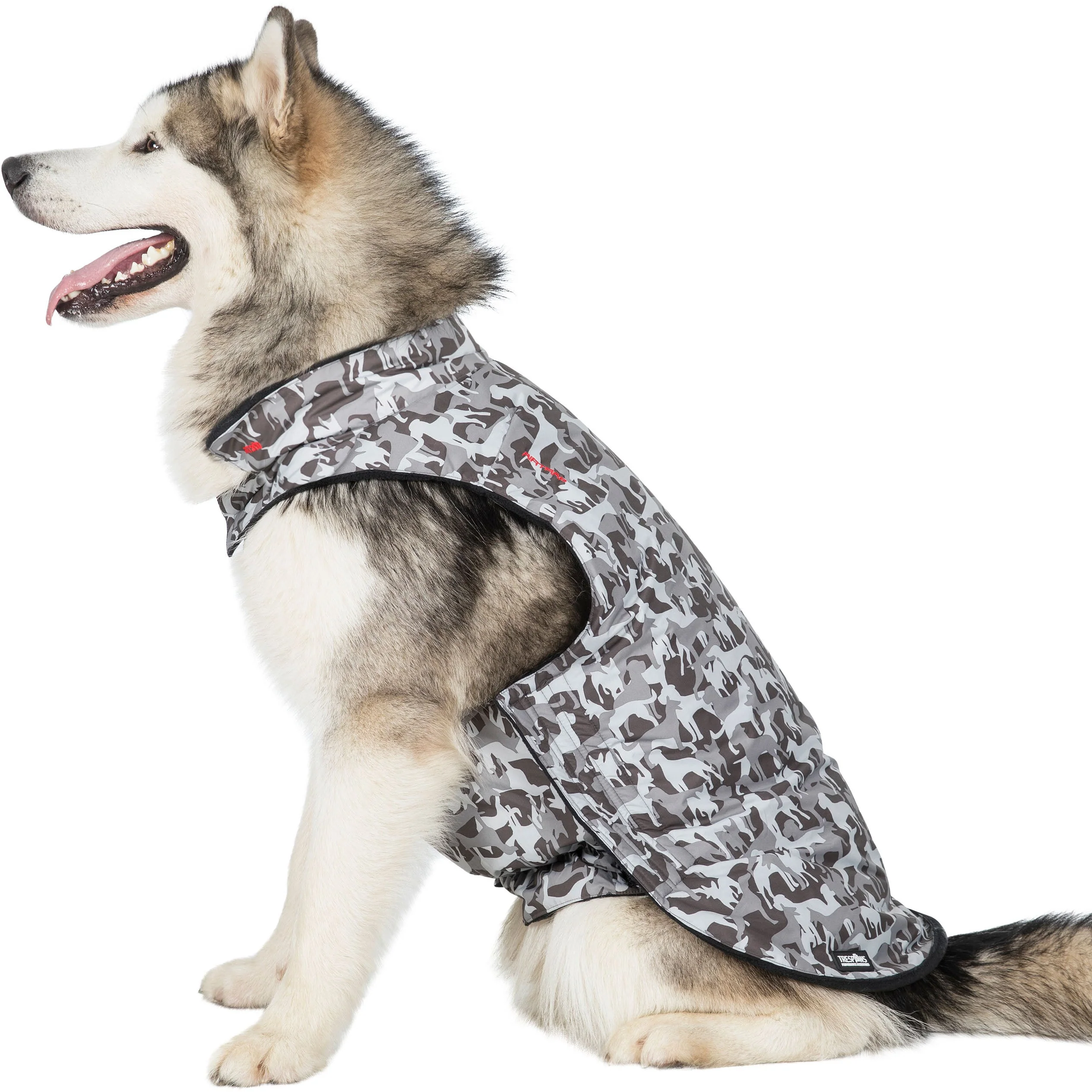 Charly Printed Waterproof Dog Coat in Camo Style - Image 17