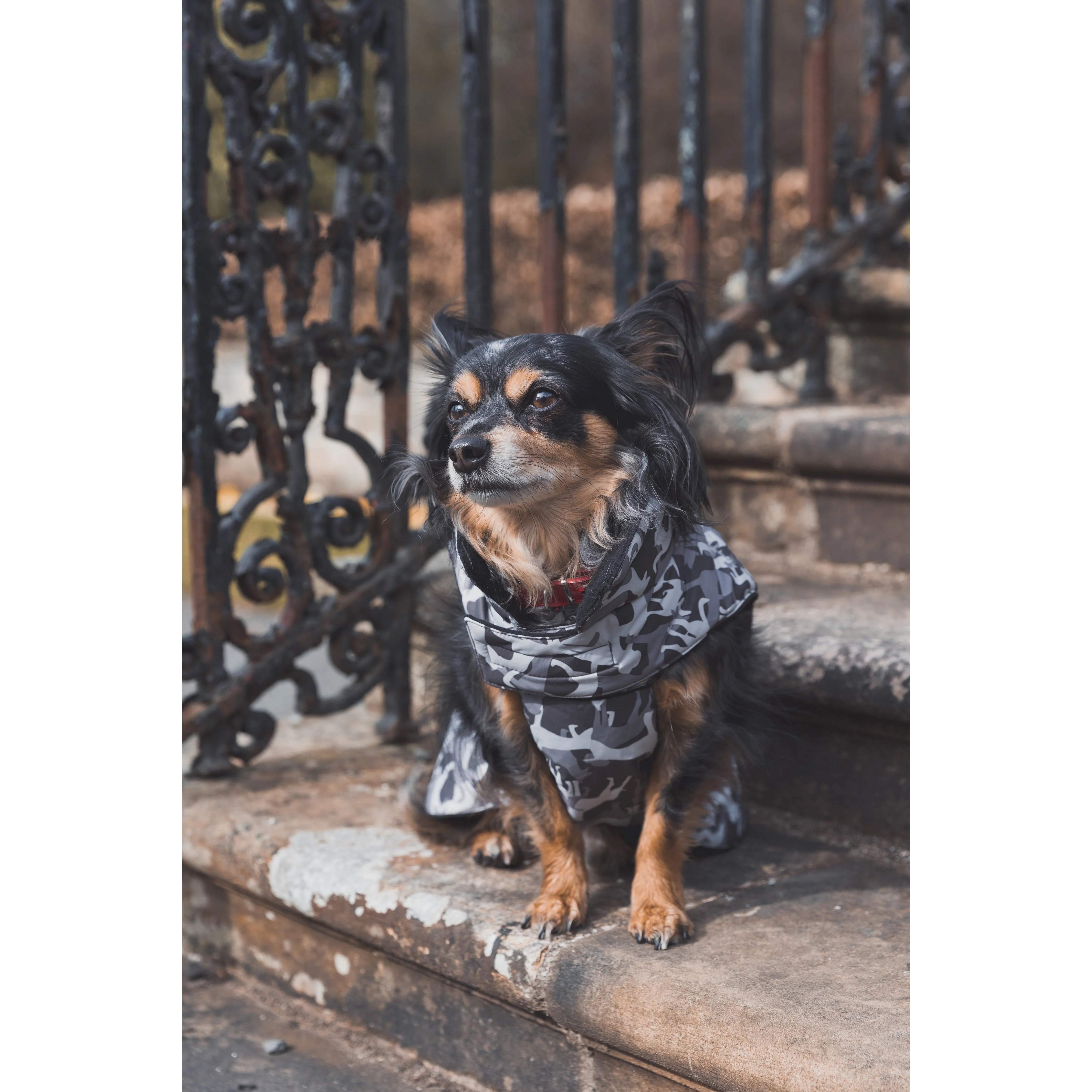 Charly Printed Waterproof Dog Coat in Camo Style - Image 18
