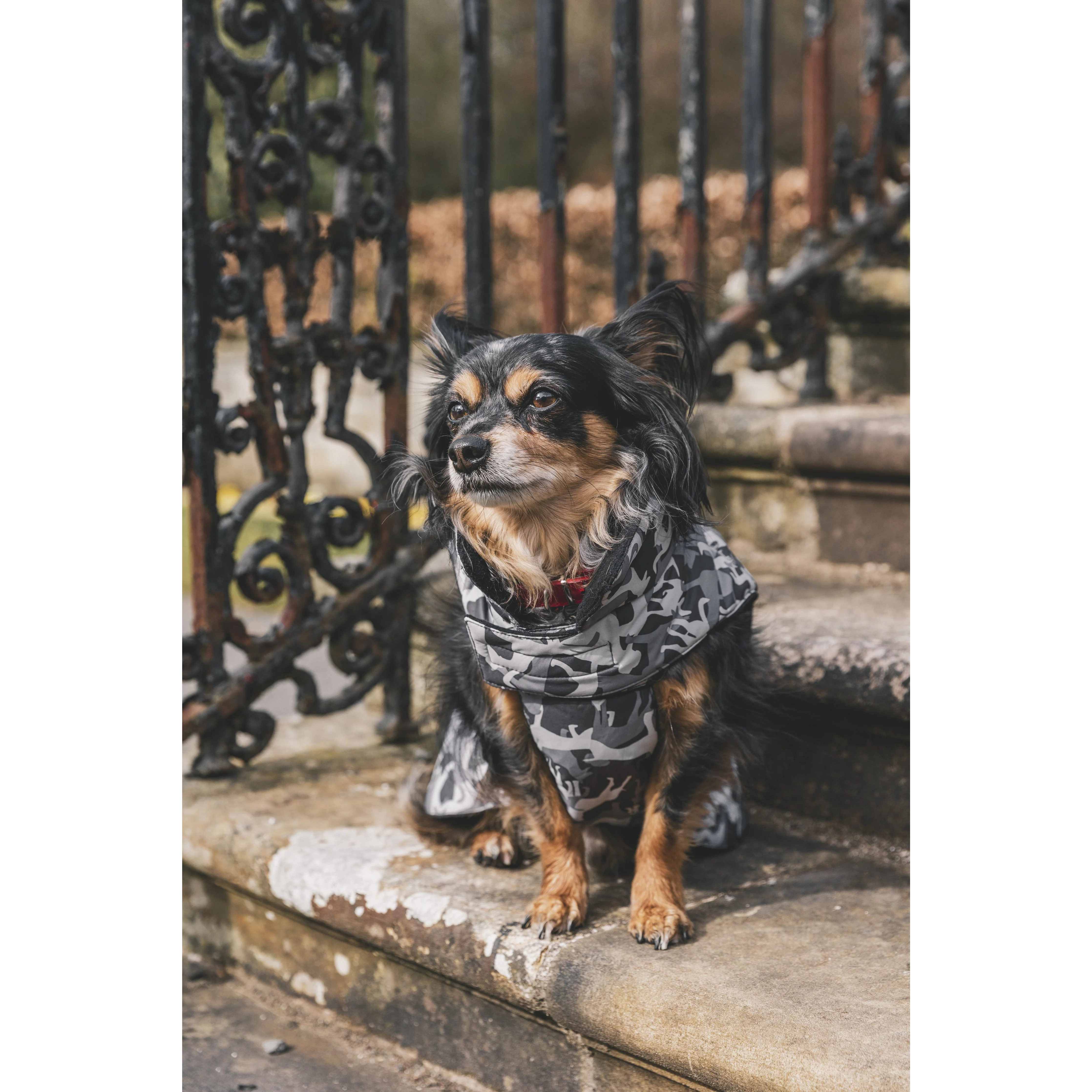 Charly Printed Waterproof Dog Coat in Camo Style - Image 20