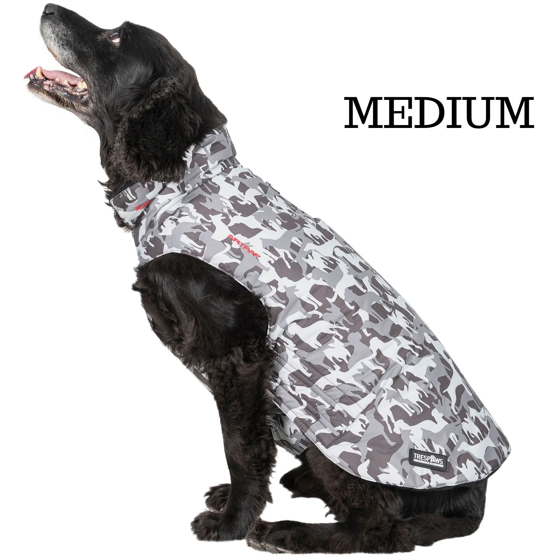 Charly Printed Waterproof Dog Coat in Camo Style - Image 7