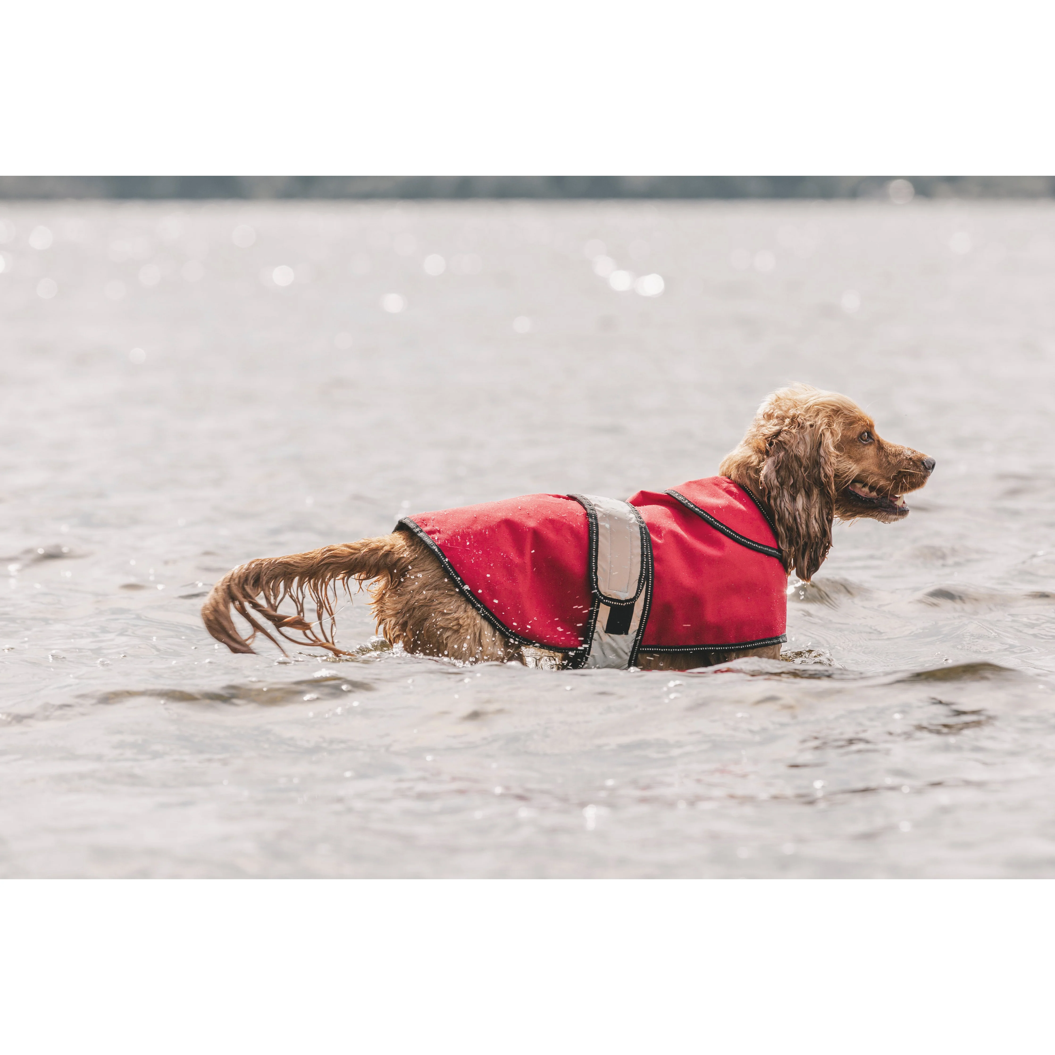 Duke-X  2 In 1 Waterproof Dog Jacket With Inner Fleece - Image 20